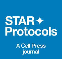 STAR Protoc logo