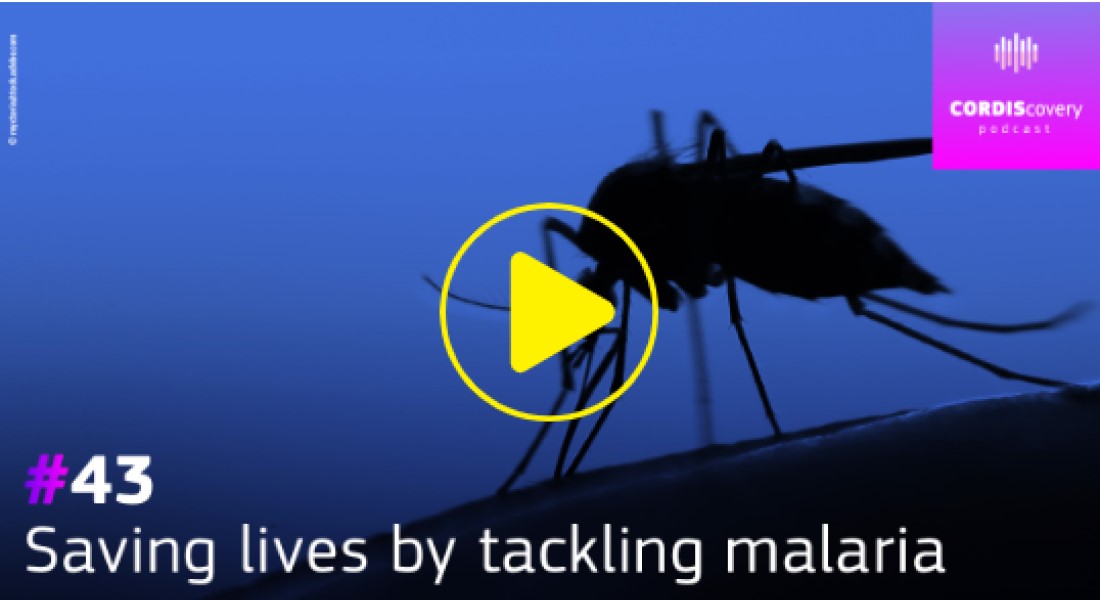 CORDIScovery #43 - Saving lives by tackling malaria